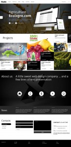 Studio Responsive Business Theme