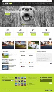 Universfolio Responsive Business Theme