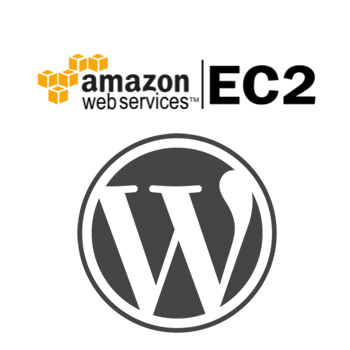Amazon EC2 t2.micro WordPress Site Plugin & WordPress Update Problem [Solved]